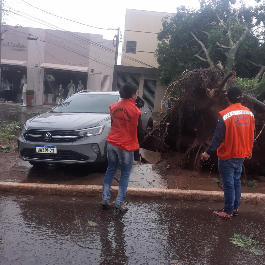 Chuva deixa rastros de destruição em Ponta Porã