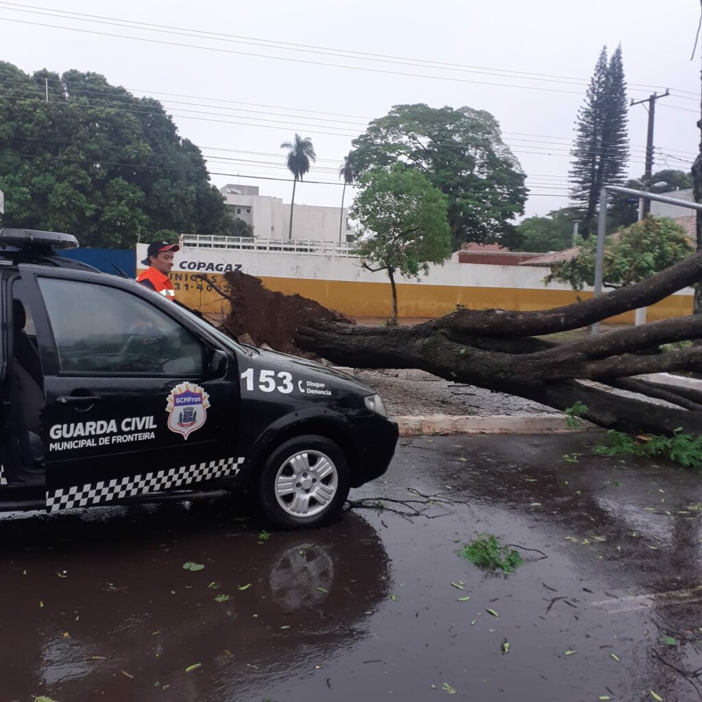 Chuva deixa rastros de destruição em Ponta Porã