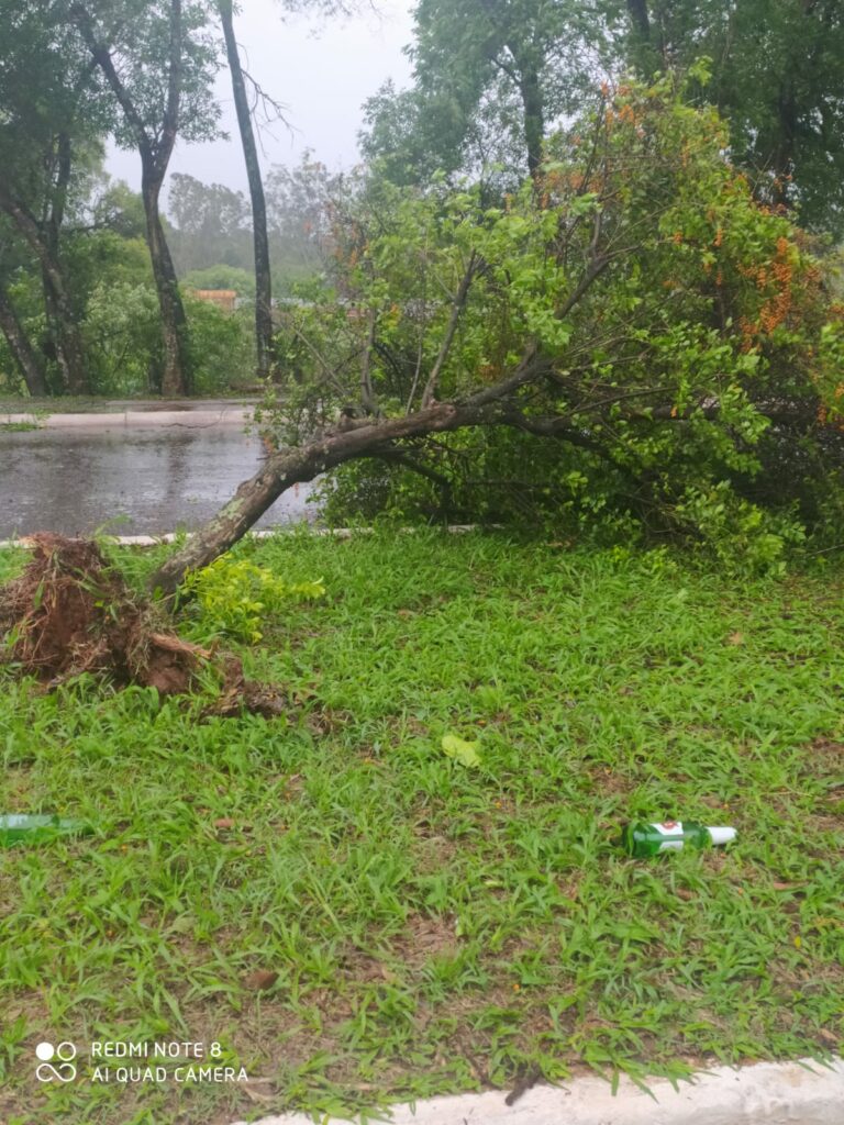 Chuva deixa rastros de destruição em Ponta Porã