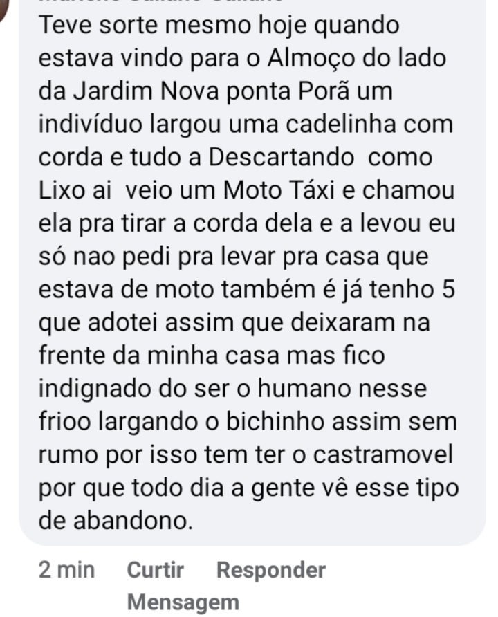 ONG Irmandade das Patinhas é desativada em Ponta Porã por falta de apoio