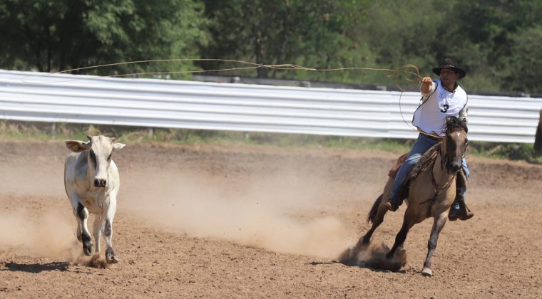 Cartes destaca disciplina y trabajo en competencia de caballos Cartes destaca disciplina y trabajo en competencia de caballos