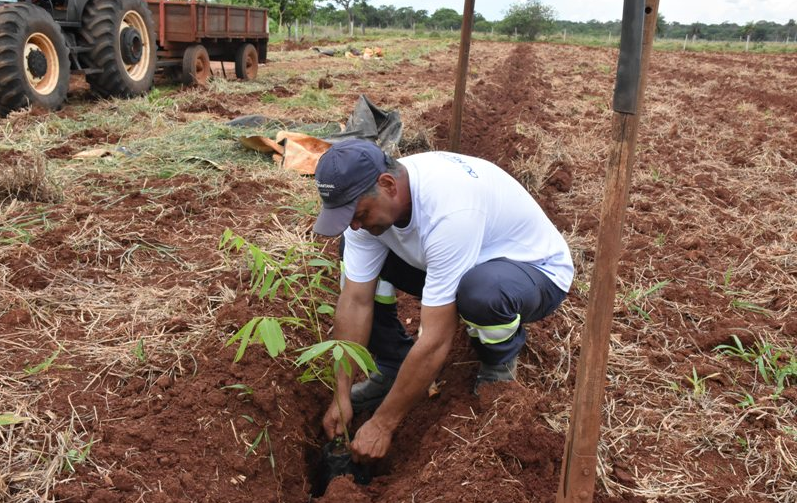 Cata Guavira: evento gastronômico traz curso de agricultura sintrópica e plantio agroflorestal a Bonito