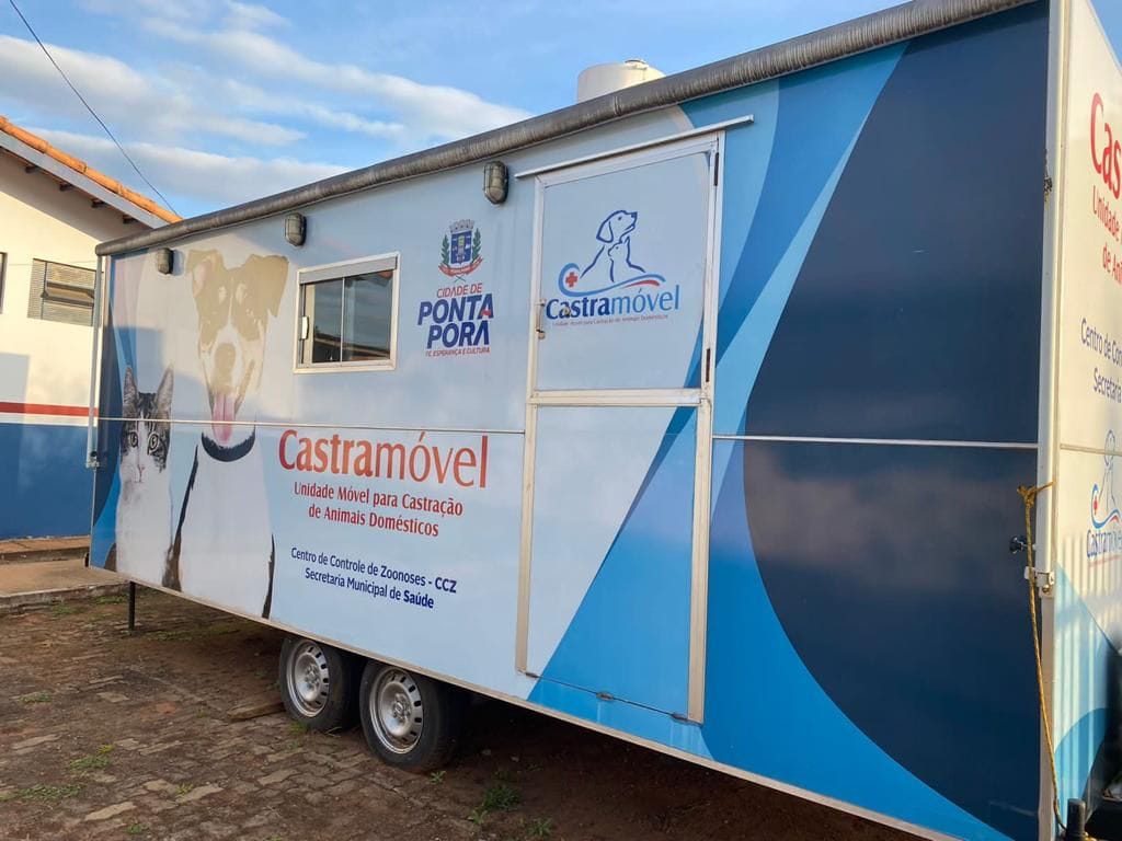 Com liberação do CRMV, CCZ de Ponta Porã iniciará castração de cães e gatos machos