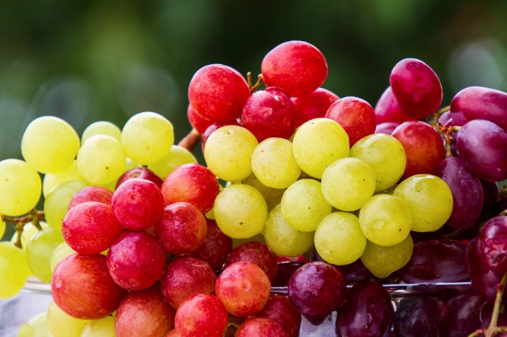 Comer fruta na passagem do ano dá sorte? Comer fruta na passagem do ano dá sorte?