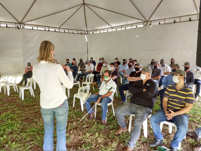 Fundação MT em Campo Safra acontece durante cinco dias em três regiões de Mato Grosso Fundação MT em Campo Safra acontece durante cinco dias em três regiões de Mato Grosso