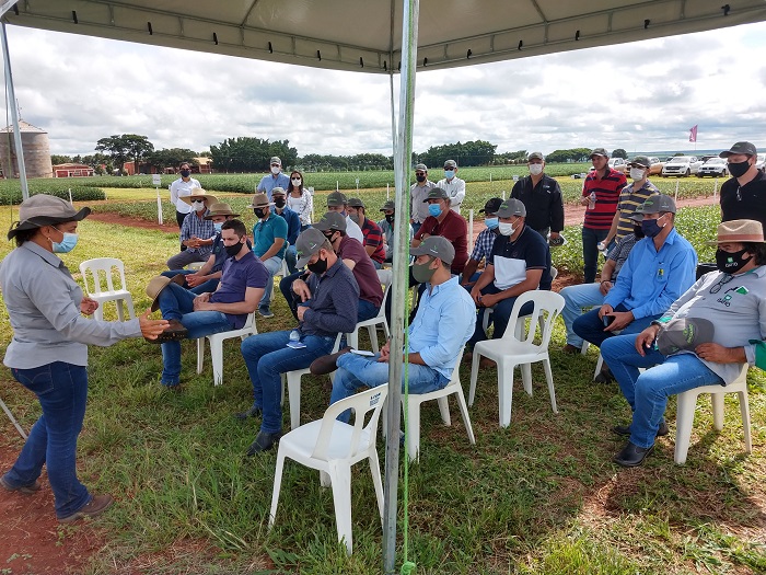 Fundação MT em Campo Safra acontece durante cinco dias em três regiões de Mato Grosso Fundação MT em Campo Safra acontece durante cinco dias em três regiões de Mato Grosso