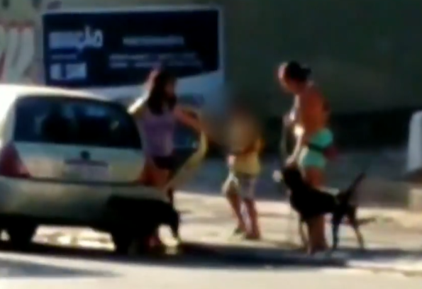Cresce o número de casos de animais abandonados Cresce o número de casos de animais abandonados