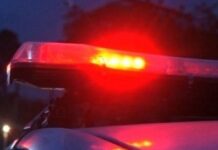 Template Colunistas – Yhuldes Giovani