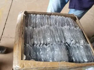 Ponta porã: Força Tática do 4º BPM apreende mercadorias avaliadas em mais de cento e oitenta mil reais Ponta porã: Força Tática do 4º BPM apreende mercadorias avaliadas em mais de cento e oitenta mil reais