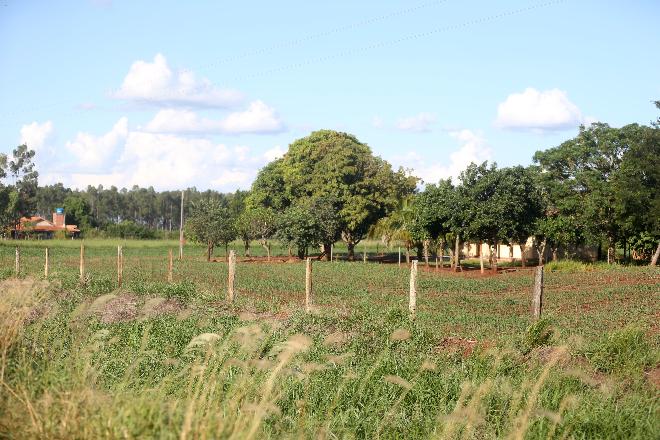Novo Itamarati: Quase metade dos lotes do assentamento já foi negociada com terceiros Novo Itamarati: Quase metade dos lotes do assentamento já foi negociada com terceiros