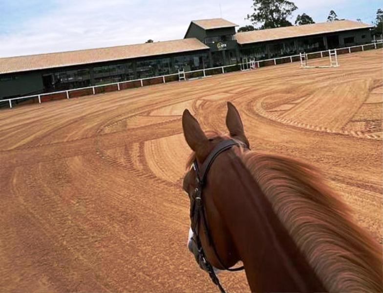 Ponta Porã: Em abril acontece Campeonato de Salto Estadual no Centro Hípico Fahd Haidar