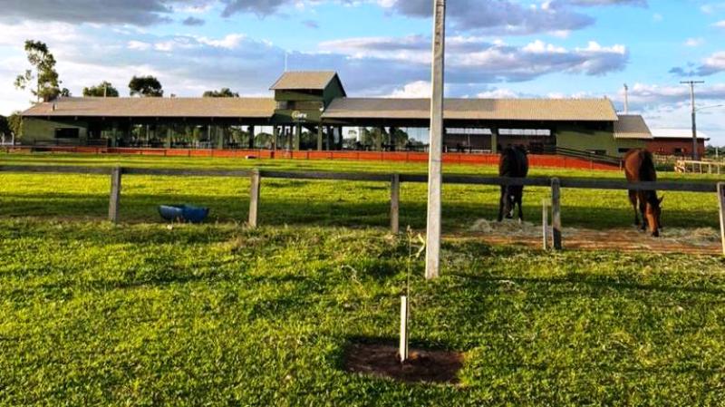 Ponta Porã: Em abril acontece Campeonato de Salto Estadual no Centro Hípico Fahd Haidar