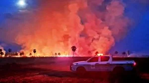 Polícia Militar Ambiental comemora 35 anos de trabalho pela conservação ambiental no MS Polícia Militar Ambiental comemora 35 anos de trabalho pela conservação ambiental no MS