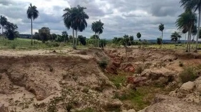 Produtor rural é multado em R$ 330 mil por deixar centenas de cabeças de gado desnutridas Produtor rural é multado em R$ 330 mil por deixar centenas de cabeças de gado desnutridas