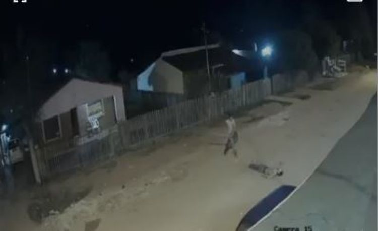 Amigos que cortejaban a la misma mujer pelean: uno mata al otro a garrotazos Amigos que cortejaban a la misma mujer pelean: uno mata al otro a garrotazos