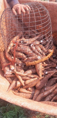 PF prende em flagrante dois envolvidos em trabalho análogo à escravidão no Mato Grosso do Sul PF prende em flagrante dois envolvidos em trabalho análogo à escravidão no Mato Grosso do Sul