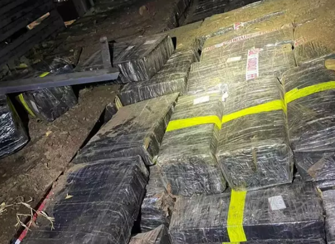 Chácara usada como base para traficantes escondia 6 toneladas de maconha