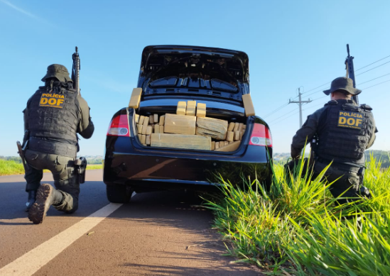DOF apreende 420 quilos de maconha e prende homem com mandado de prisão em aberto