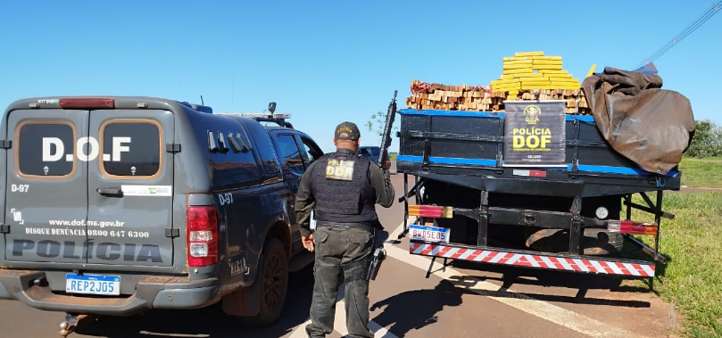 DOF apreende quase três toneladas de droga em meio a carga de madeira