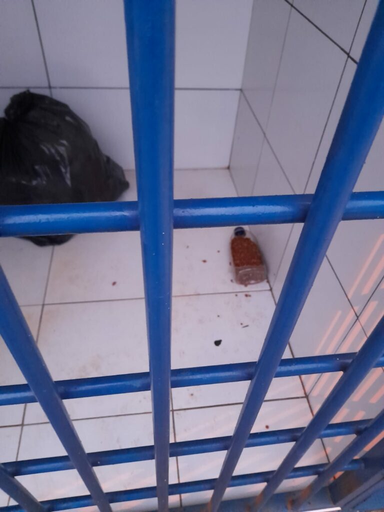 Ponta Porã: Cuidadora de gatos do bairro Andreazza se manifesta após acusações Ponta Porã: Cuidadora de gatos do bairro Andreazza se manifesta após acusações
