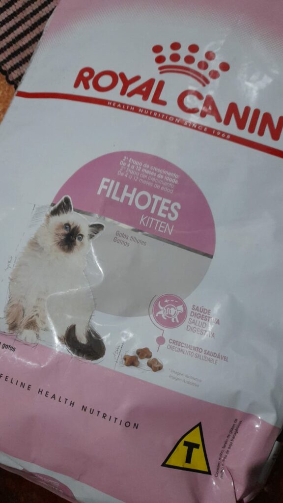 Ponta Porã: Cuidadora de gatos do bairro Andreazza se manifesta após acusações Ponta Porã: Cuidadora de gatos do bairro Andreazza se manifesta após acusações