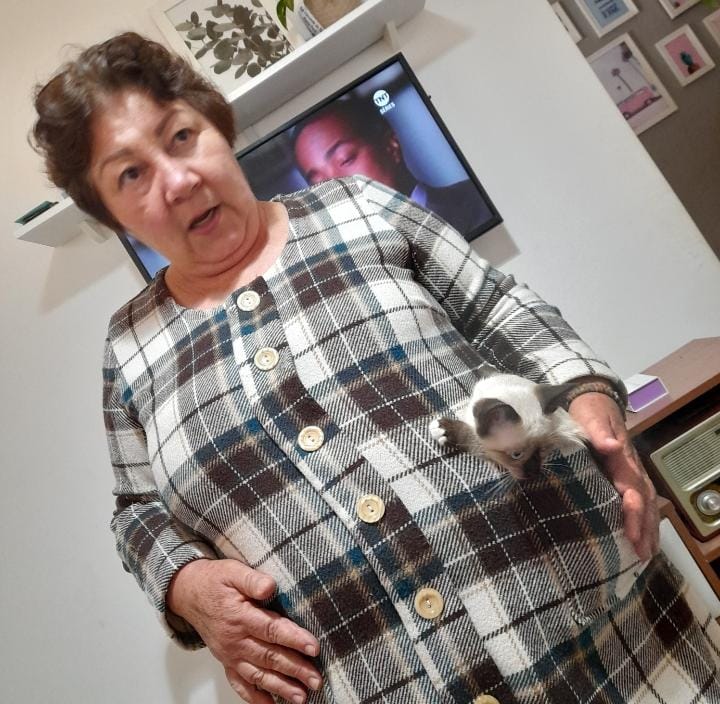 Ponta Porã: Cuidadora de gatos do bairro Andreazza se manifesta após acusações Ponta Porã: Cuidadora de gatos do bairro Andreazza se manifesta após acusações