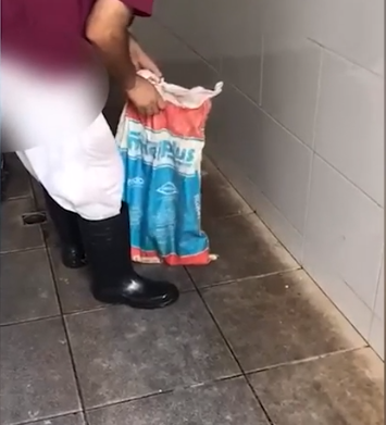 Gato é encontrado vivo dentro de saco de lixo em condomínio Gato é encontrado vivo dentro de saco de lixo em condomínio