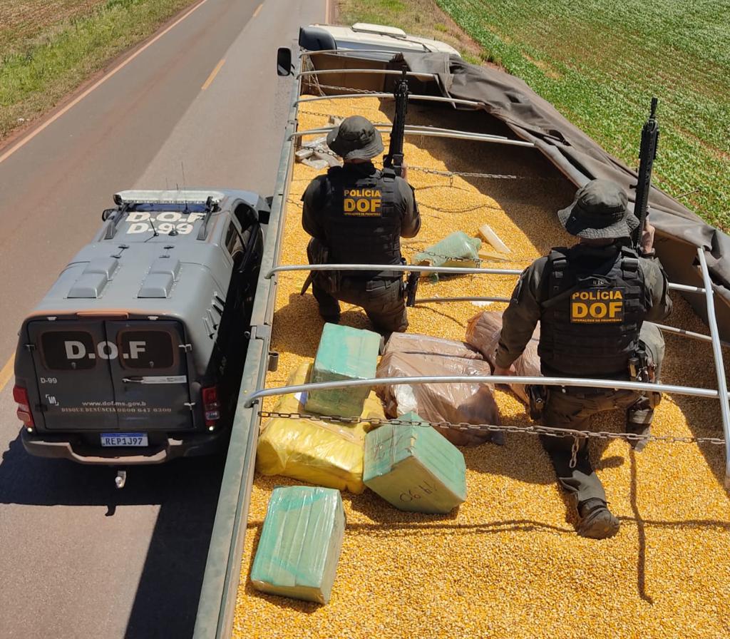 DOF apreende mais de 4,3 toneladas de maconha em carga de milho
