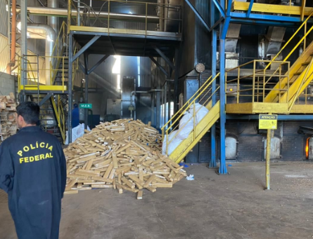 PF incinera perto de 18 toneladas de drogas em Campo Grande/MS PF incinera perto de 18 toneladas de drogas em Campo Grande/MS