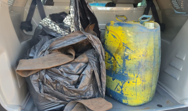 PF e PRF cumprem mandados em Dourados/MS relacionados aos crimes cometidos durante bloqueios em rodovias federais PF e PRF cumprem mandados em Dourados/MS relacionados aos crimes cometidos durante bloqueios em rodovias federais
