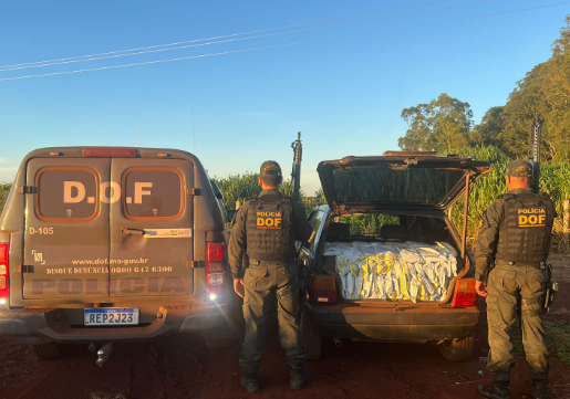 DOF apreende mais de meia tonelada de defensivos agrícolas contrabandeados DOF apreende mais de meia tonelada de defensivos agrícolas contrabandeados
