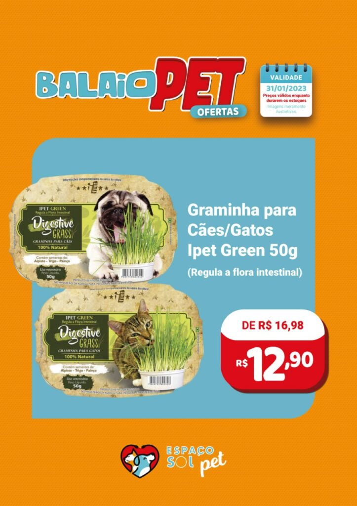 Balaio Pet tem produtos com preços incríveis no Espaço Sol Pet em Ponta Porã Balaio Pet tem produtos com preços incríveis no Espaço Sol Pet em Ponta Porã