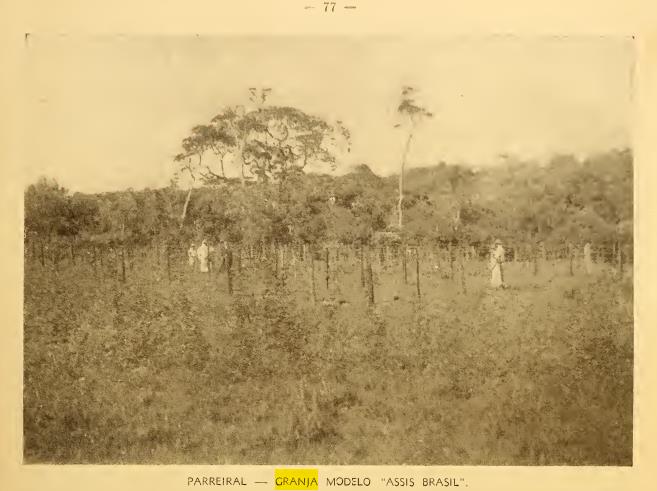 Ponta Porã Na Linha Do Tempo: Imagens Historiográficas Da Região De Fronteira