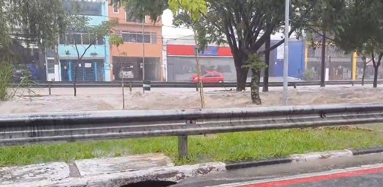Chuva no litoral norte de SP deixa 36 mortos; 228 pessoas estão desalojadas e 338 desabrigadas Chuva no litoral norte de SP deixa 36 mortos; 228 pessoas estão desalojadas e 338 desabrigadas