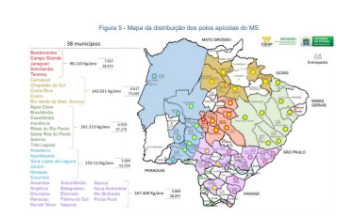 Apicultores de MS promovem revolução na cadeia produtiva inédita no Brasil