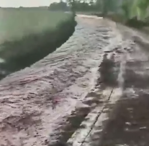Tromba d’água alaga casas e peixes nadam no meio da soja Tromba d’água alaga casas e peixes nadam no meio da soja