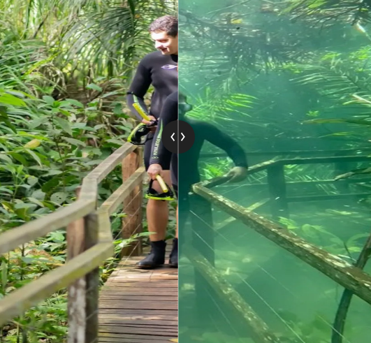 Imagens mostram trilha que virou área de mergulho após temporal em MS Imagens mostram trilha que virou área de mergulho após temporal em MS