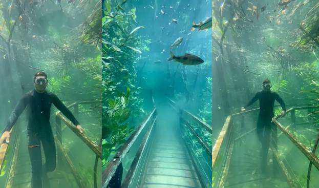 Imagens mostram trilha que virou área de mergulho após temporal em MS Imagens mostram trilha que virou área de mergulho após temporal em MS