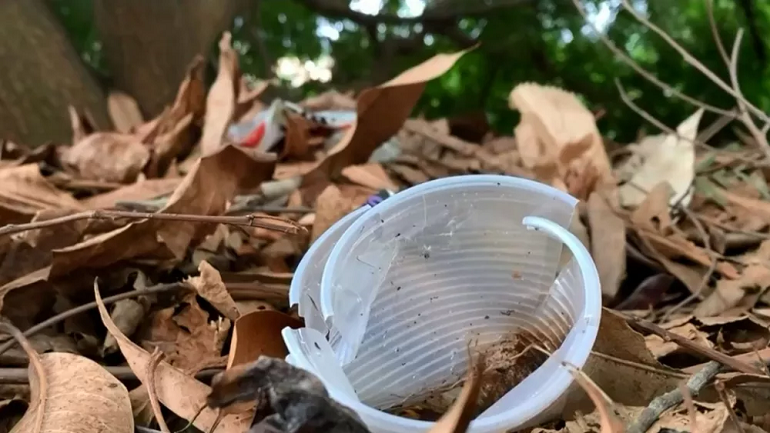 MS registra cinco mortes por dengue em três meses; cuidados devem ser redobrados MS registra cinco mortes por dengue em três meses; cuidados devem ser redobrados