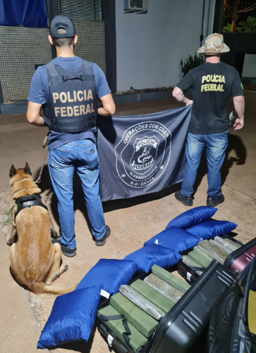 PF apreende 32kg de maconha em ação com cães PF apreende 32kg de maconha em ação com cães