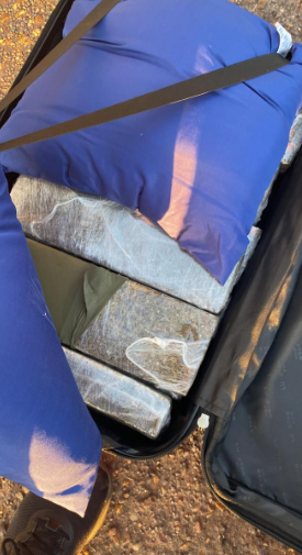 PF apreende 32kg de maconha em ação com cães PF apreende 32kg de maconha em ação com cães