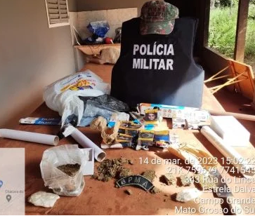 PMA autua mulher em R$ 3,5 mil, resgata cães e encontra plantas de maconha e droga no local PMA autua mulher em R$ 3,5 mil, resgata cães e encontra plantas de maconha e droga no local