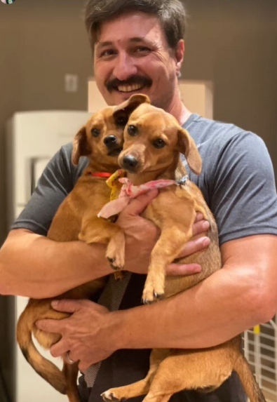 Sem espaço em imóvel, Michelle Bolsonaro pede ajuda com adoção de duas cachorras Sem espaço em imóvel, Michelle Bolsonaro pede ajuda com adoção de duas cachorras