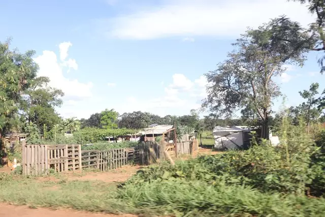 De olho na reforma agrária, acampamentos ganham força e chegam a sete em MS De olho na reforma agrária, acampamentos ganham força e chegam a sete em MS