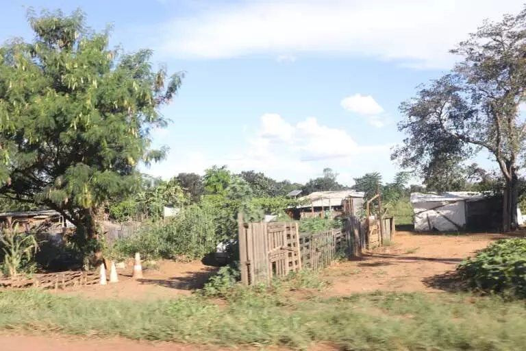 De olho na reforma agrária, acampamentos ganham força e chegam a sete em MS De olho na reforma agrária, acampamentos ganham força e chegam a sete em MS
