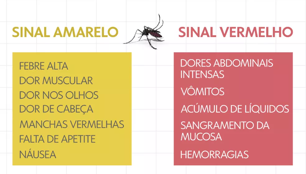 MS confirma um caso de dengue a cada 12 minutos, aponta boletim MS confirma um caso de dengue a cada 12 minutos, aponta boletim
