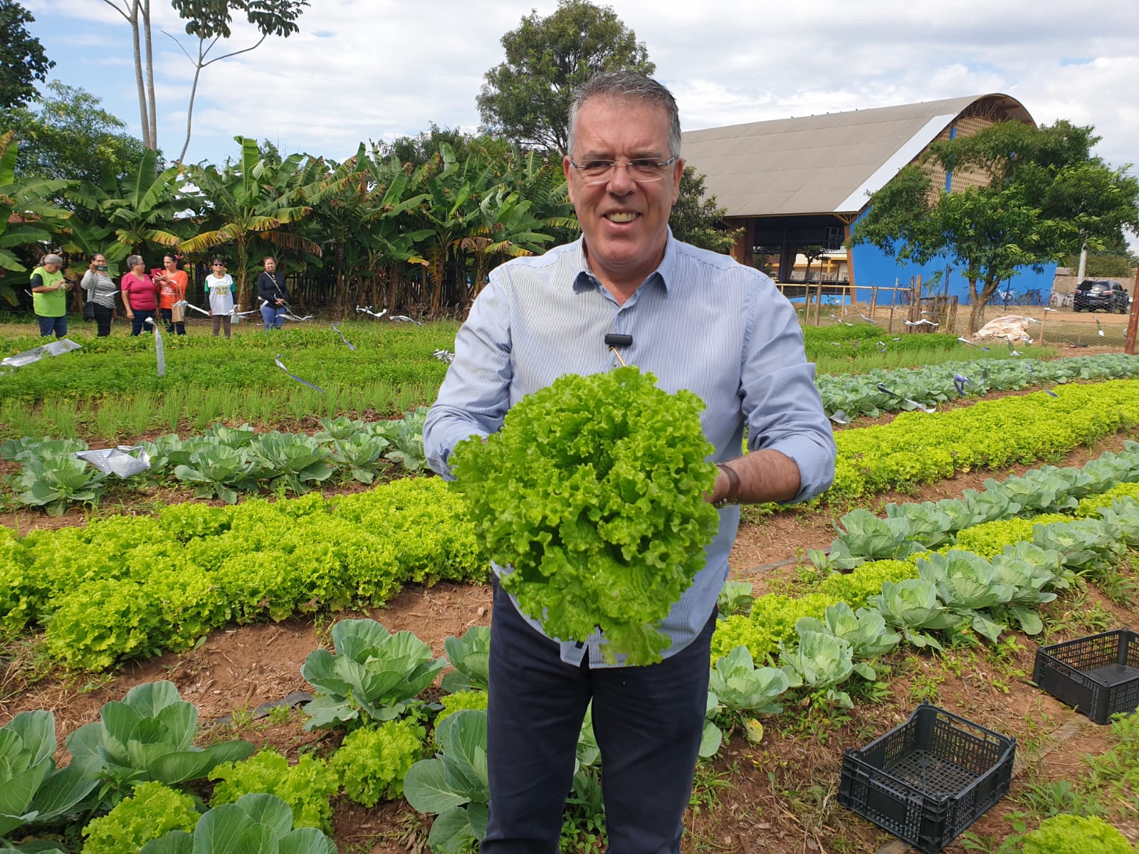 Ponta Porã: Horta comunitária de Sanga Puitã realizou primeira colheita
