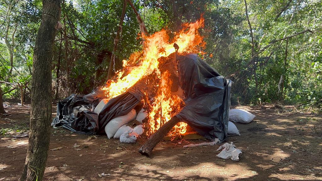 Tres detenidos y más de 8 toneladas de marihuana sacadas de circulación por la Senad en Estrella Tres detenidos y más de 8 toneladas de marihuana sacadas de circulación por la Senad en Estrella