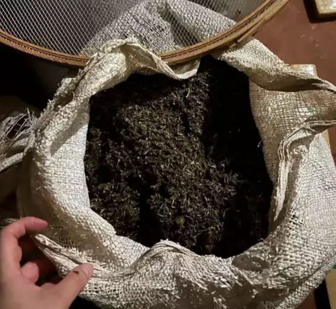 Homem é preso com meia tonelada de maconha armazenada em casa no Paraguai Homem é preso com meia tonelada de maconha armazenada em casa no Paraguai