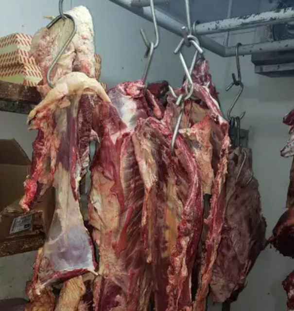 Mulher é presa e 1 tonelada de carne de abate clandestino é apreendida em Bonito Mulher é presa e 1 tonelada de carne de abate clandestino é apreendida em Bonito